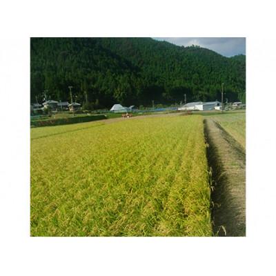 ふるさと納税 那賀町 那賀町相生産コシヒカリ白米5kg |  | 01