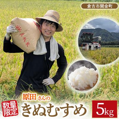 ふるさと納税 倉吉市 【新米】【在庫限定】令和7年産米 原田さんのきぬむすめ 5kg (原田農園)数量限定 15G021