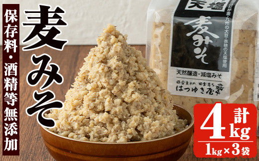 No.3351 保存料・酒精等無添加みそ 麦みそ(1kg×4袋)甘口 減塩 麦みそ 保存料・酒精等無添加 国産 九州 味噌 みそ 調味料 麹 こうじ 味噌汁 みそ汁【はつゆき屋】