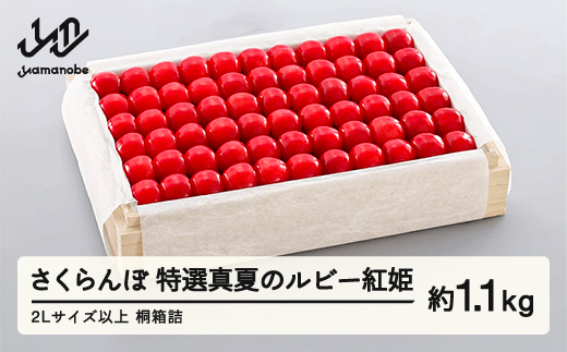 《先行予約》2026年 山形県産 特選「真夏のルビー紅姫」 桐箱詰め 約1100g やまのべ多田耕太郎のさくらんぼ サクランボ F20A-062