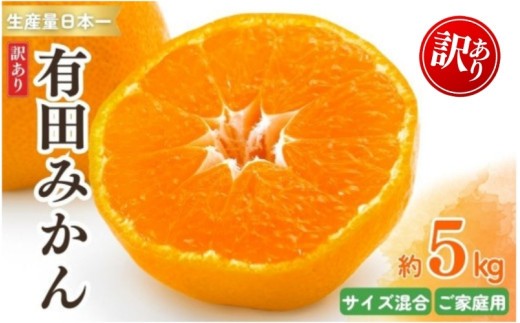 
                  紀州 有田 みかん 5kg 訳あり サイズ混合 / 温州みかん 有田みかん 甘い キズ 和歌山 柑橘 ※2026年11月下旬～2027年1月中旬頃順次発送予定 ※北海道・沖縄・離島への配送不可 【sml004-c-5A】 
                