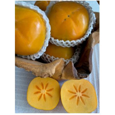 ふるさと納税 有田川町 たねなし柿　赤秀品　2Lサイズ(11〜12個)【マルシ農園】