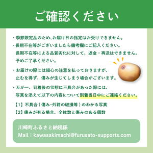  梨 新高 5kg【10月頃から発送予定】 梨 IDG