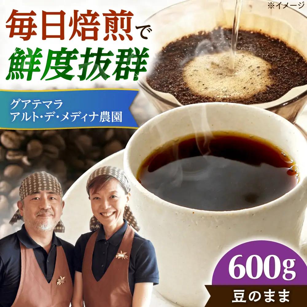 グアテマラ アルト・デ・メディナ農園  600g 豆のまま[AOEL006-01]