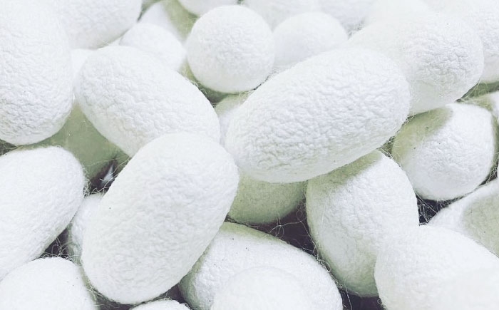 洗顔＆全身用 石けん 石鹸 ソープ スキンケア フェイシャル ボディ 美容 基礎化粧品 洗顔 保湿 日用品 シルク 絹 しるく