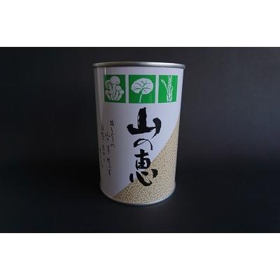 ふるさと納税 福島市 たけのこ 缶詰(根曲り筍)3缶セット　No.0550