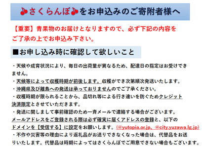三関産さくらんぼ（佐藤錦）秀L　600～700g（箱詰）[B34-2601]