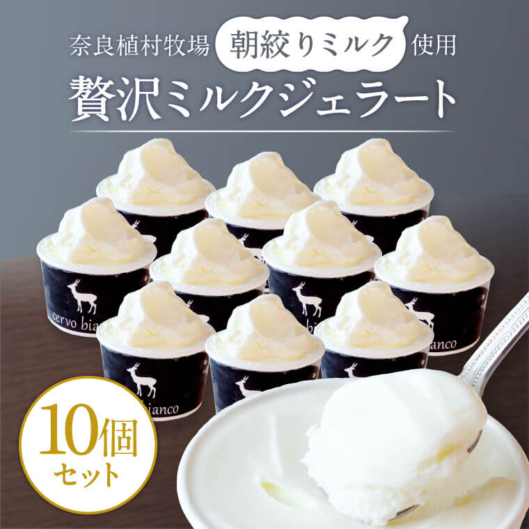 【ふるさと納税】ミルク アイス ジェラート 奈良で大人気店のジェラート cervo bianco チェルボビアンコ 濃厚ミルクジェラート 10個セット 植村牧場 奈良市 朝絞り デザート 高級 ギフト アイスクリーム スイーツ スゥイーツ奈良県 奈良市