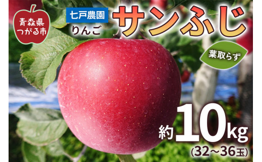 りんご サンふじ 葉取らず 約10kg(32から36玉) 青森産 つがる市【2026年11月下旬より順次発送】｜青森県産 津軽 リンゴ りんご 葉とらず 青森りんご 果物 フルーツ 2026年産 令和8年産 [0832]