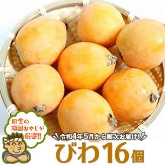 田舎の頑固おやじが厳選！びわ16個【令和4年5月から順次お届け】
