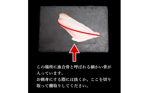 天然 鮮魚 詰め合わせ 朝獲れ直送 下処理済み 3~5種入り 1kg～1.5kg （2026年5月出荷） 冷蔵 刺身 魚種お任せ 水揚げ 海鮮 魚介 産地直送 新鮮 魚 鮮魚ボックス