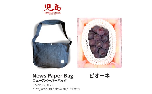 【年2回定期便】 家庭用 ピオーネ 2房（1房約530g以上）＋ NEWS PAPER BAG（INDIGO） フルーツ 果物 ブドウ ぶどう 葡萄 国産 ギフト 贈答 【2026年6月上旬～9月下旬まで発送予定】