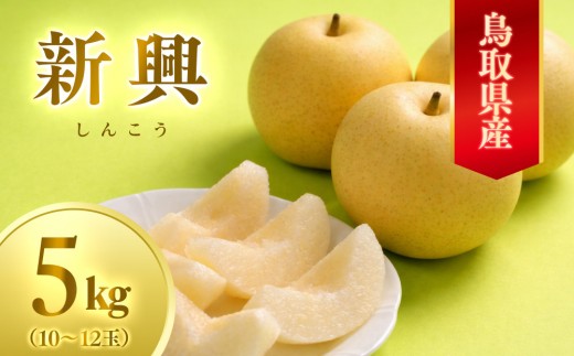 
                  【先行予約】数量限定 鳥取県産梨 新興（しんこう） 5kg（10～12玉）｜鳥取 梨 なし 新興 しんこう 期間限定 送料無料 鳥取県 三朝町
                