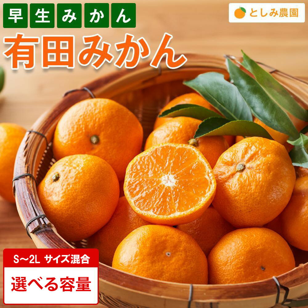 【ふるさと納税】有田みかん 早生みかん 秀品または優品 約3kg or 約5kg S～2Lサイズ混合 としみ農園 | みかん 蜜柑 フルーツ 果物 くだもの 食品 人気 おすすめ 送料無料