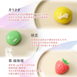 練り切り あんこ 新発田づくし 和菓子 洋菓子 あんこ 和菓子 菓子 お菓子 スイーツ 甘味 新潟県 新発田市 sinpo003
