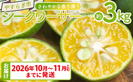 さわやかな香り漂うシークワーサー 3kg シークヮーサー yr-0108