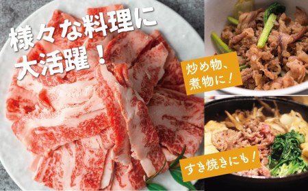 飛騨牛 切り落としスライス 1kg 250g×4 牛肉 切り落とし 飛騨市 [EN004]
