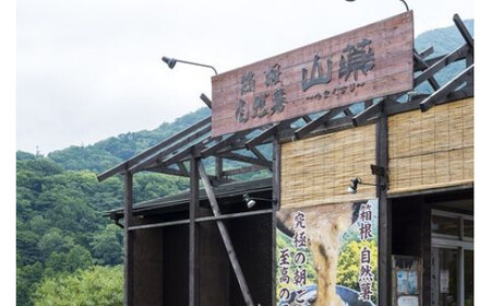 解凍するだけ！毎日の新しい健康習慣に！自然薯味付とろろ100ｇ３０ｐセット