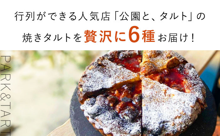 タルト タルトケーキ ケーキ タルト生地 詰め合わせ 食べ比べ セット 限定 冷凍 ギフト 取り寄せ 人気 公園とタルト