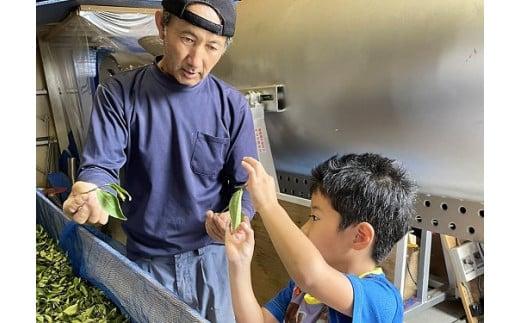 159-2　花香り和紅茶ティーバッグ5本セット