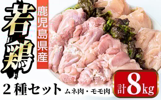 i1095 鹿児島県産 若鶏ムネ肉・モモ肉 2種セット (計8kg・各2kg×2P ) 鶏肉 むね肉 もも肉 セット 国産 チキン もも むね 美味しい ダイエット 料理 【まつぼっくり】
