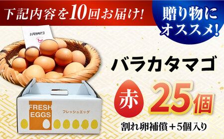 【10回定期便】【箱入り】バラカタマゴ 25個入 M-Lサイズ 卵 玉子 たまご 国産 五島市 / 五島列島大石養鶏場[PFQ059]  玉子 タマゴ 鶏卵 希少 五島列島