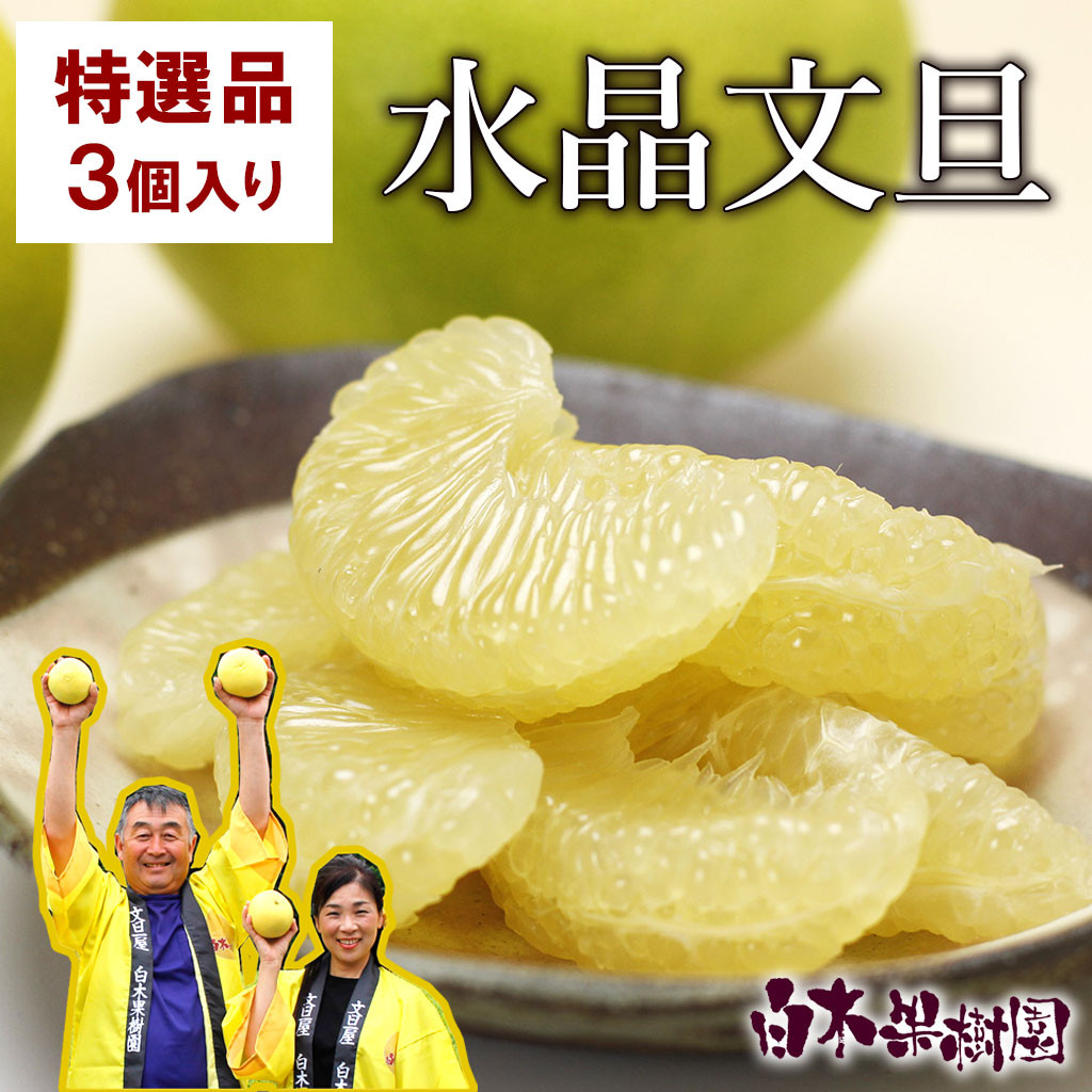 
                  【先行予約】高知県産水晶文旦 特選ご贈答用 2Lサイズ 3個入り〈2026年10月上旬～11月上旬頃発送〉  /  ぶんたん ブンタン 水晶文旦 果物 柑橘 フルーツ お取り寄せ 特産品 おいしい【白木果樹園】 [BQAI017]
                