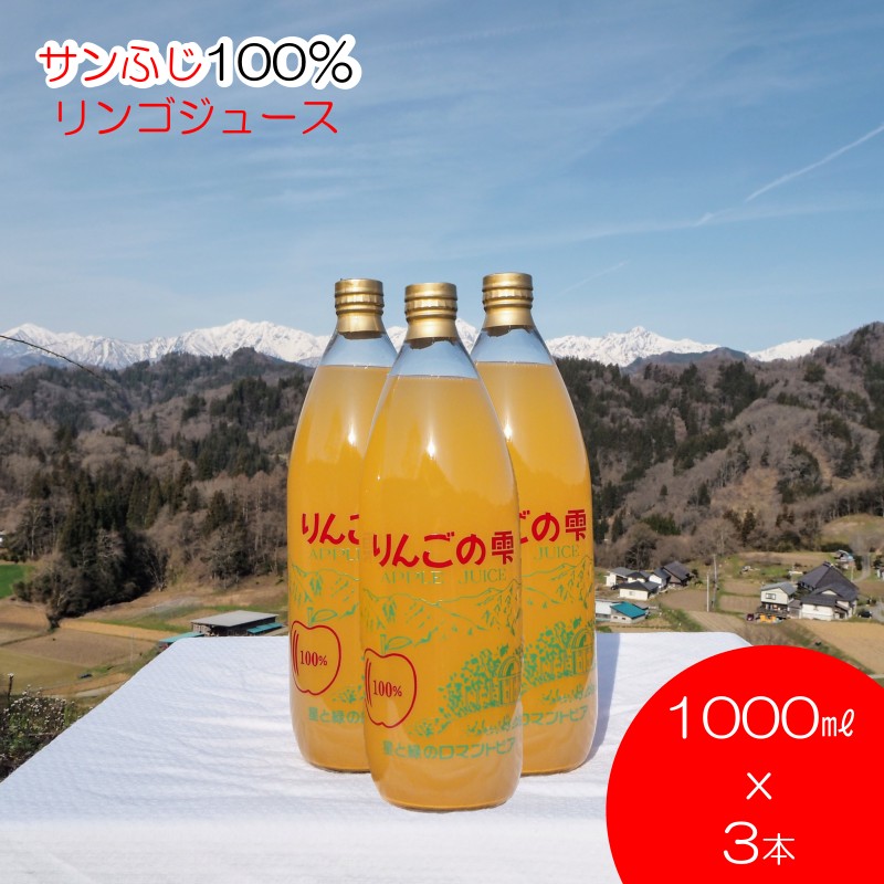 【ふるさと納税】265＊サンふじりんご100%ジュース1L 3本