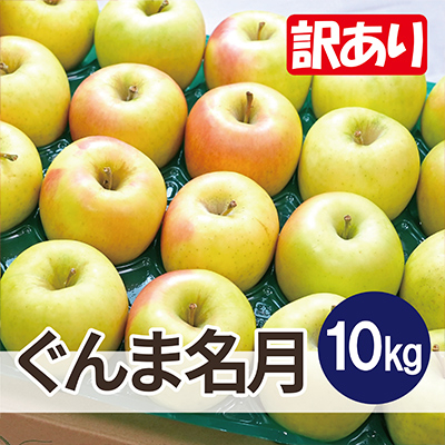 
            ＜26年4月出荷予定＞平均糖度13度以上! ぐんま名月 約10kg 訳あり CA貯蔵 クール便【1612878】
          