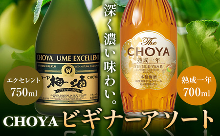 【9月30日受付終了】ビギナーアソート TheCHOYA 熟成一年 700ml エクセレント 750ml 計2本 セット