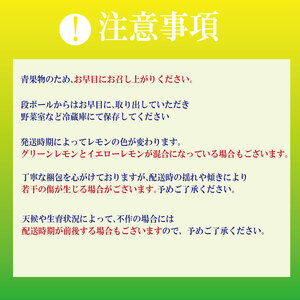 【2025年10月順次発送】 スイートレモネード 1.2kg (10～12個)  レモン れもん 檸檬 柑橘 フルーツ 果物 完熟 国産 新鮮 果汁 レモンサワー お酒 ハイボール レモネード ジュー