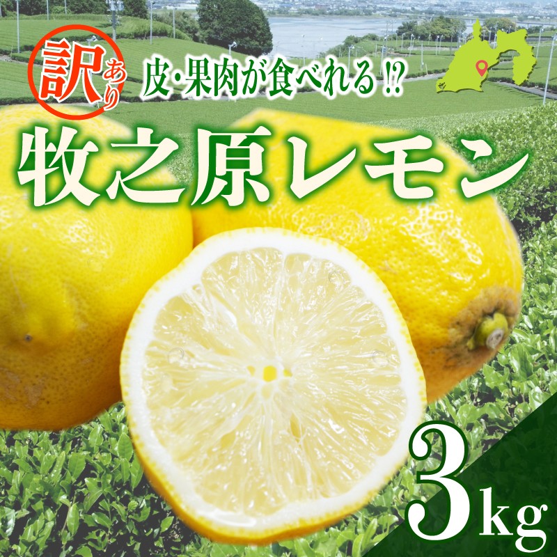 
                  【訳あり】レモン 3kg わけあり れもん 檸檬 Lemon 柑橘類 柑橘 フルーツ 果物 酸っぱい 果肉 酸味 璃の香 防腐剤不使用 牧之原レモン 静岡県 牧之原市 果肉食べられる 自宅用 贈答品 レモンスカッシュ レモンパウンドケーキ レモンサワー くだもの 家庭用 静岡県産 農家直送 産地直送 産直 ビタミン グリーンレモン イエローレモン おすすめ 美味しい りのか
                