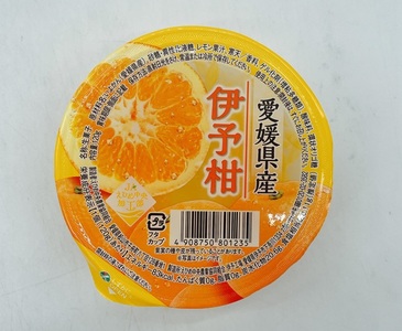みかん 愛媛 伊予柑ゼリー 30個 人気 数量限定 柑橘 伊予市｜B260