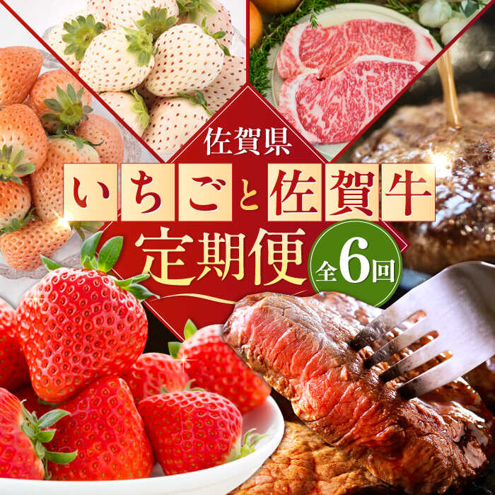【ふるさと納税】【2026年発送分 先行予約】【全6回定期便】佐賀県の生産者を応援！いちごと佐賀牛定期便 / 白いちご いちご ステーキ ハンバーグ 佐賀牛 / 佐賀県ふるさと納税 [41AAZZ007]