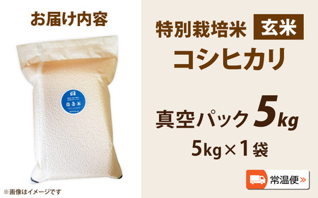 【先行予約】【令和7年産新米】南条米 特別栽培米コシヒカリ 真空パック 玄米 5kg [ B-011006 ]