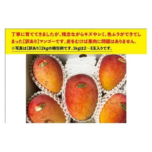 宮古島すがわら農園　【訳あり】完熟マンゴー1kg（2～3玉）（FR003）