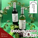 【ふるさと納税】サントネージュ かみのやま産 葡萄 750ml × 2本 セット ワイン 日本ワイン カベルネ・ソーヴィニヨン シャルドネ お取り寄せ 送料無料 山形県 上山市 0141-2407