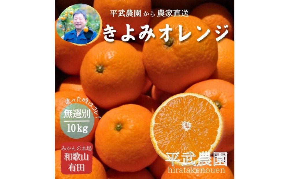 農家直送！きよみオレンジ 10kg 無選別≪秀品・訳あり品・サイズ混合≫［平武農園］～蛍飛ぶ町から旬の便り～［2026年3月下旬から順次発送予定］ BX81