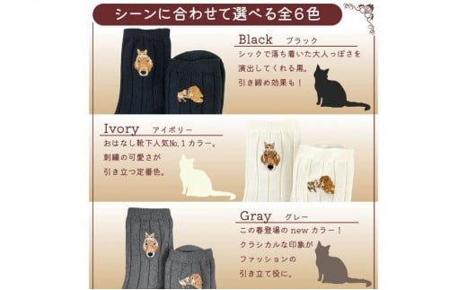 おはなし靴下 ギフトボックス イヌとネコ レディース ネイビー