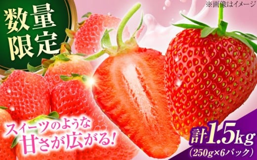 大分産ベリーツ(約250g×6パック)　日田市 / 南国フルーツ株式会社 ベリーツ いちご 苺 イチゴ 果物 甘い フルーツ デザート 甘い いちご 【配送不可地域：離島】 [ARET011]