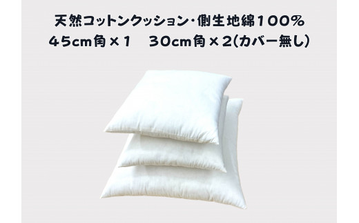 寝室やリビングをおしゃれに飾るベッドクッション（無地、カバーなし）【CW123W】