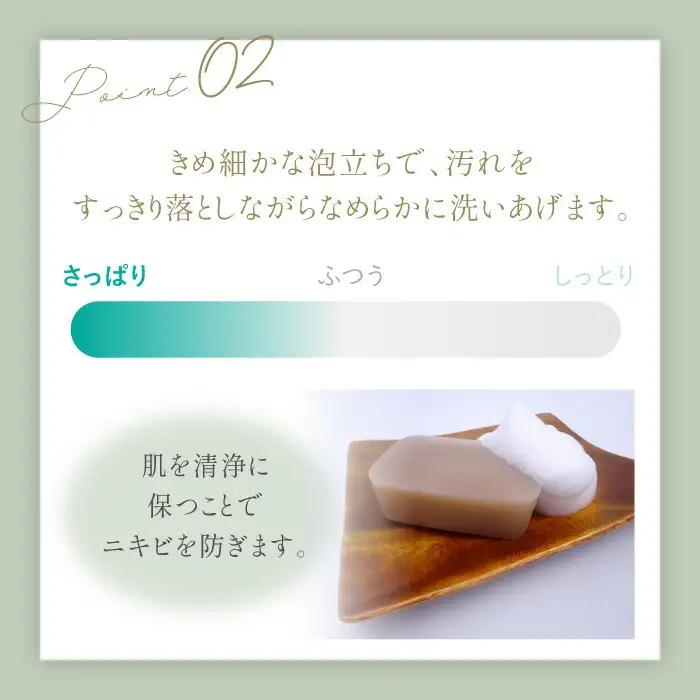 ＼生活応援よか値キャンペーン／どくだみ石けん130g×12個セット 【株式会社 地の塩社】[ZAN011-CP]