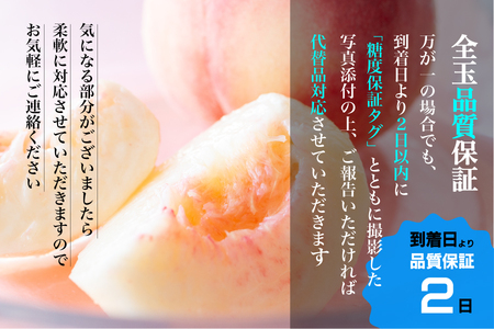 【糖度16度保証付】一宮の大玉桃 3玉 約1.1kg　全国桃選手権『銀賞』受賞桃 FN-Limited 104-067-FN | ＜数量限定＞美味しいフルーツだけをお届けします【ルッチ Rucci】産