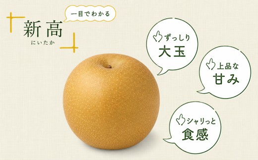 梨 【今年発送】桶川産の梨 3kg 6玉～9玉 | 幸水 豊水 彩玉 新高 あきづき 和梨 日本梨 フルーツ 果物 旬の果物  先行予約 8月中旬～9月下旬発送 生産者おまかせ 旬の梨 みずみずしい 詰め合わせ 贈答 プレゼント ギフト 家庭用 甘い 常温便 人気 産地直送 農家直送 2026年発送 桶川市梨出荷組合 埼玉県 桶川市