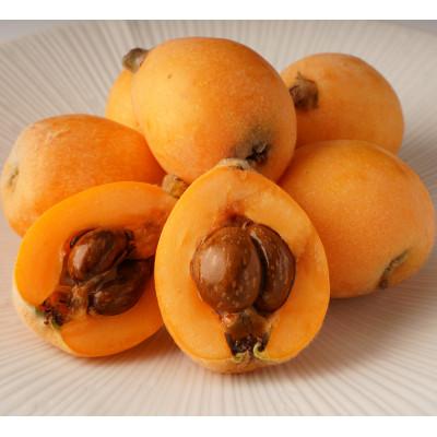 ふるさと納税 東かがわ市 【発送月固定定期便】東かがわ市 フルーツ定期便全9回 |  | 02