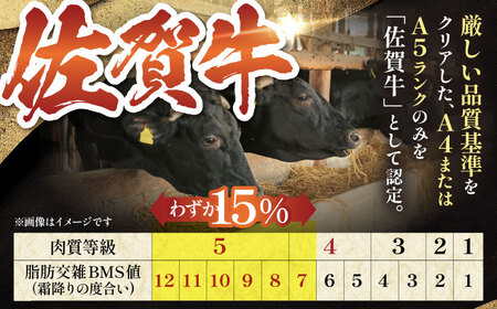 【全12回定期便】佐賀牛 味付け カルビー（500g） HAA043 カルビ 和牛 焼肉 国産