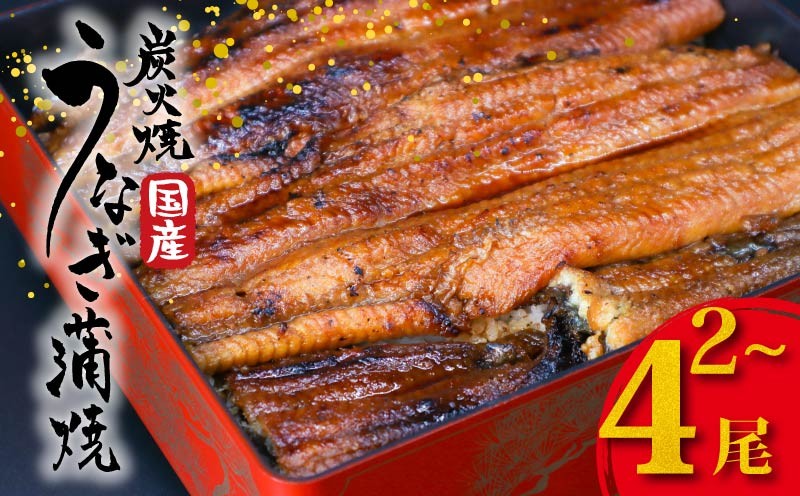 
                  国産 うなぎの蒲焼 2～4尾 1尾約180g たれ付き 鰻 うなぎ 丑の日 魚 魚介 海鮮 肉厚 ジューシー かば焼き 蒲焼き うな重 ひつまぶし うな丼 どんぶり ごはん お米 年末年始 お取り寄せ ギフト プレゼント 贈り物 ご褒美 奈良県 奈良市 まるいち活鰻 maruichi01
                