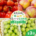 【ふるさと納税】 【2025年先行受付】《定期便3回》元気の郷 中山町フルーツ定期便 ～満足サイズ～ 佐藤錦 秋姫 シャインマスカット さくらんぼ サクランボ 葡萄 ぶどう ブドウ すもも スモモ 山形県産 フルーツ 果物 くだもの F4A-0392