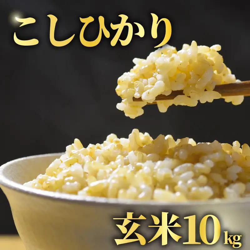 【先行予約】 玄米 10kg こしひかり 令和8年産 【 玄米 新米 】