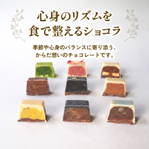 冬季発送 ローチョコレート 6個入り ヴィーガンチョコレートギフト 手提げ袋付き